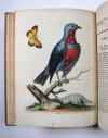 Edwards, George, A Natural History of uncommon Birds and some other rare and undescribed Animals, Quadrupeds, Reptiles, Fishes, Insects… FORTSETZUNG: Gleanings of Natural History containing figures of Quadrupeds, Birds, Insects, Plants…