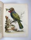 Edwards, George, A Natural History of uncommon Birds and some other rare and undescribed Animals, Quadrupeds, Reptiles, Fishes, Insects… FORTSETZUNG: Gleanings of Natural History containing figures of Quadrupeds, Birds, Insects, Plants…