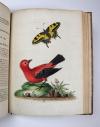 Edwards, George, A Natural History of uncommon Birds and some other rare and undescribed Animals, Quadrupeds, Reptiles, Fishes, Insects… FORTSETZUNG: Gleanings of Natural History containing figures of Quadrupeds, Birds, Insects, Plants…