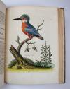 Edwards, George, A Natural History of uncommon Birds and some other rare and undescribed Animals, Quadrupeds, Reptiles, Fishes, Insects… FORTSETZUNG: Gleanings of Natural History containing figures of Quadrupeds, Birds, Insects, Plants…