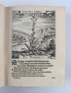 (Ludwig, Fürst zu Anhalt-Köthen), Der Fruchtbringenden Geselschaft Namen, Vorhaben, Gemählde und Wörter: Nach jedes Einnahme ordentlich in Kupfer gestochen und In achtzeilige Reimgesetze verfasset.