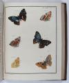 Engramelle, Jacques Louis Florentin, Papillons d’Europe, peints d’après nature (par Jean Jacques Ernst).