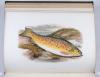 Houghton, William, British Fresh-Water Fishes.