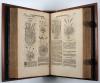 Tabernaemontanus, Jacobus Theodorus, Neuw Kreuterbuch mit schönen, künstlichen und leblichen Figuren unnd Conterfeyten, aller Gewächs… Beschreibung derselben… auch deren… Krafft und Wirckung, sampt ihren… Namen in mancherley Sprachen, darinn auff 3000 Gewächs beschrieben…werden, dergleichen vormals in keiner Sprach nie ans Liecht oder in Druck kommen. Darinn viel… heylsamer Artzeney, vor allerley innerlichen und eusserlichen Kranckheiten unnd Gebrechen…