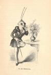 Grandville, J.J. (d.i. J.I.I. Gérard), Bilder aus dem Staats- und Familienleben der Thiere. Mit Erläuterungen hrsg. von A. Diezmann.