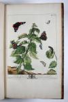 Harris, Moses, (The Aurelian: or, natural history of English Insects.) Le Aurelien: ou, Histoire naturelle des Insects Anglois; mommement, les phalenes et papillons, avec les plantes sur lesquelles ils se nourrissent.