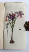 Ebert, Johann Jacob, Naturlehre für die Jugend.