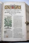 Tabernaemontanus, Jacobus Theodorus, Neu vollkommen Kräuter-Buch, mit schönen, künstlichen Figuren unnd Conterfeyten, aller Gewächs… auch deren… Underscheid und Würckung, sampt ihren Nahmen in mancherley Sprachen… Erstlich durch Casparum Bauhinum… zum Andern durch Hieronymum Bauhinum… vermehret. Und nun zum vierdten mahl ausfs fleisigst  übersehen…. und zu… Vollkommenheit gebracht.