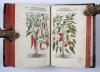 Fuchs, Leonhart, Primi de stirpium historia commentariorum tomi vivae imagines, in exiguam angustioremque formam contractae…