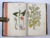 Fuchs, Leonhart, Primi de stirpium historia commentariorum tomi vivae imagines, in exiguam angustioremque formam contractae…