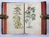 Fuchs, Leonhart, Primi de stirpium historia commentariorum tomi vivae imagines, in exiguam angustioremque formam contractae…