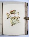 Wharton, Elizabeth, British Fungi. Manuskript mit 288 Tafeln.