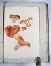 Wharton, Elizabeth, British Fungi. Manuskript mit 288 Tafeln.