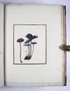 Wharton, Elizabeth, British Fungi. Manuskript mit 288 Tafeln.