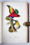 Lemaire, Charles und Lucas, Pierre-Hippolyte, Bibliothèque Zoologique (Reihentitel).  I. Histoire naturelle des oiseaux d’Europe. II. Histoire naturelle des oiseaux exotiques. III. Histoire naturelle des lépidoptères d’Europe. IV Histoire naturelle des lépidoptères exotiques.