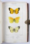 Lemaire, Charles und Lucas, Pierre-Hippolyte, Bibliothèque Zoologique (Reihentitel).  I. Histoire naturelle des oiseaux d’Europe. II. Histoire naturelle des oiseaux exotiques. III. Histoire naturelle des lépidoptères d’Europe. IV Histoire naturelle des lépidoptères exotiques.