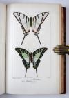 Lemaire, Charles und Lucas, Pierre-Hippolyte, Bibliothèque Zoologique (Reihentitel).  I. Histoire naturelle des oiseaux d’Europe. II. Histoire naturelle des oiseaux exotiques. III. Histoire naturelle des lépidoptères d’Europe. IV Histoire naturelle des lépidoptères exotiques.