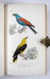 Lemaire, Charles und Lucas, Pierre-Hippolyte, Bibliothèque Zoologique (Reihentitel).  I. Histoire naturelle des oiseaux d’Europe. II. Histoire naturelle des oiseaux exotiques. III. Histoire naturelle des lépidoptères d’Europe. IV Histoire naturelle des lépidoptères exotiques.