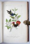Lemaire, Charles und Lucas, Pierre-Hippolyte, Bibliothèque Zoologique (Reihentitel).  I. Histoire naturelle des oiseaux d’Europe. II. Histoire naturelle des oiseaux exotiques. III. Histoire naturelle des lépidoptères d’Europe. IV Histoire naturelle des lépidoptères exotiques.