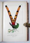 Lemaire, Charles und Lucas, Pierre-Hippolyte, Bibliothèque Zoologique (Reihentitel).  I. Histoire naturelle des oiseaux d’Europe. II. Histoire naturelle des oiseaux exotiques. III. Histoire naturelle des lépidoptères d’Europe. IV Histoire naturelle des lépidoptères exotiques.