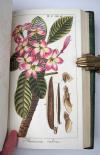 (Zorn, Johannes), Alle Werke komplett, uniform gebunden und in neuwertigem Zustand.  I. Abbildungen von Arzneygewächsen. Icones plantarum medicinalium. 6 Bände. II. Dreyhundert auserlesene amerikanische Gewächse nach Linneischer Ordnung. 6 Teile in 3 Bänden. III. Auswahl schöner und seltener Gewächse als Fortsetzung der amerikanischen Gewächse. 5 Teile in 3 Bänden.