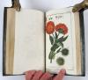 (Zorn, Johannes), Alle Werke komplett, uniform gebunden und in neuwertigem Zustand.  I. Abbildungen von Arzneygewächsen. Icones plantarum medicinalium. 6 Bände. II. Dreyhundert auserlesene amerikanische Gewächse nach Linneischer Ordnung. 6 Teile in 3 Bänden. III. Auswahl schöner und seltener Gewächse als Fortsetzung der amerikanischen Gewächse. 5 Teile in 3 Bänden.