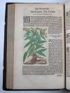 Ryff, Walter Hermann, Reformierte Deutsche Apoteck. Darinnen eigentliche Contrafactur der fürnembsten und gebreuchlichsten Kreutter, sampt ihrer Underscheidung, Art…Auch was von den selbigen von Apoteckischen Stucken unnd dergleichen vilfaltigen Vermischungen…bereidt werden mögen.
