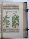 Ryff, Walter Hermann, Reformierte Deutsche Apoteck. Darinnen eigentliche Contrafactur der fürnembsten und gebreuchlichsten Kreutter, sampt ihrer Underscheidung, Art…Auch was von den selbigen von Apoteckischen Stucken unnd dergleichen vilfaltigen Vermischungen…bereidt werden mögen.