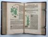 Ryff, Walter Hermann, Reformierte Deutsche Apoteck. Darinnen eigentliche Contrafactur der fürnembsten und gebreuchlichsten Kreutter, sampt ihrer Underscheidung, Art…Auch was von den selbigen von Apoteckischen Stucken unnd dergleichen vilfaltigen Vermischungen…bereidt werden mögen.