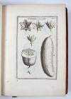 Tournefort, Joseph Pitton, Institutiones rei herbariae. Editio tertia, appendicibus aucta.