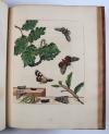 Harris, Moses, L’Aurelien, ou Histoire Naturelle des Chenilles, Chrysalides, Phalenes et Papillons Anglois avec les plantes dont ils se nourissent.