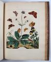 Harris, Moses, L’Aurelien, ou Histoire Naturelle des Chenilles, Chrysalides, Phalenes et Papillons Anglois avec les plantes dont ils se nourissent.