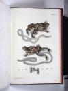 Roesel von Rosenhof, August Johann, Historia naturalis ranarum nostratium. Die natürliche Historie der Frösche des hiesigen Landes.