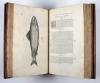 Salviani, Ippolito, Aquatilium animalium historiae, liber primus, cum eorumdem formis, aere excusis.