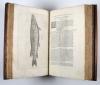 Salviani, Ippolito, Aquatilium animalium historiae, liber primus, cum eorumdem formis, aere excusis.