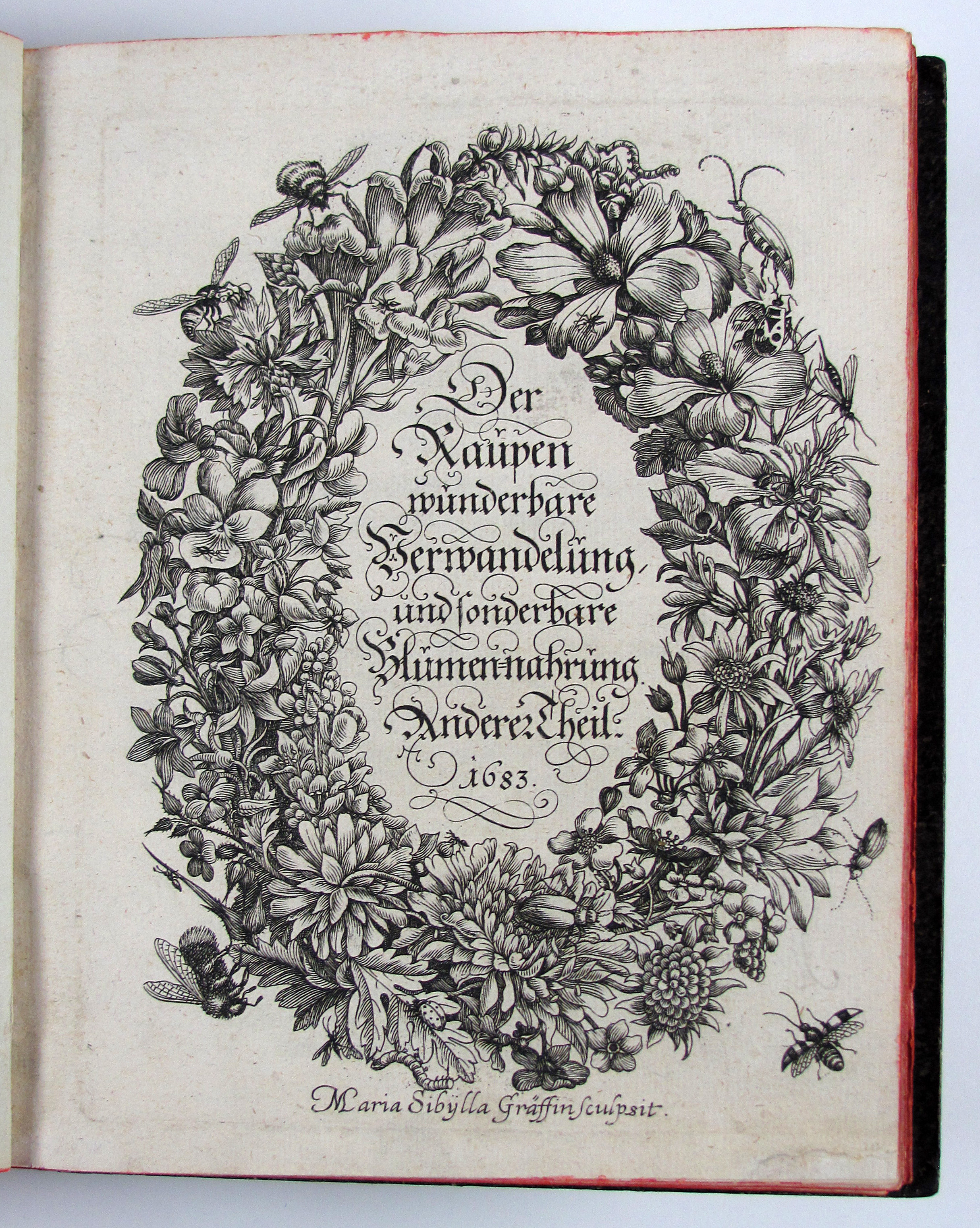 Merian, Maria Sibylla, Der Raupen wunderbare Verwandelung, und sonderbare Blumennahrung.