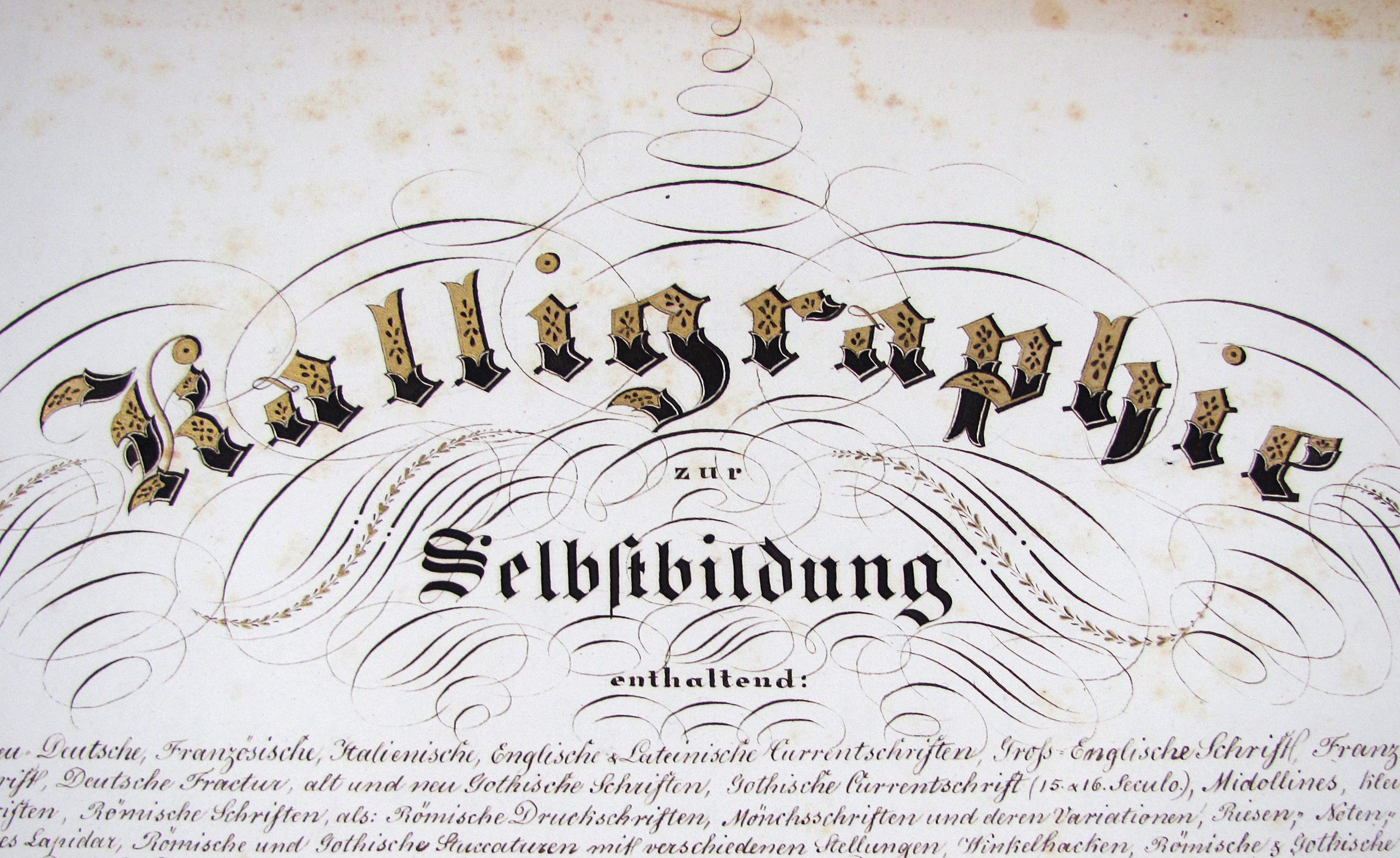 Bosshardt, August Salomon, Kalligraphie zur Selbstbildung enthaltend: Alt & neu Deutsche, Französische, Italienische, Englische & Lateinische Currentschriften, Gross Englische Schrift, Französische Rundschrift, Deutsche Fractur, alt und neu Gothische Schriften, Gothische Currentschrift (15. & 16. Seculo), Midollines, kleine Gothische Cartenschriften, Römische Schriften, als: Römische Druckschriften, Mönchsschriften und deren Variationen, Riesen, Noten-Ketten und Aegyptisches Lapidar, Römische und Gothische Stuccaturen mit verschiedenen Stellungen, Winkelhacken, Römische und Gothische Stellalphabete, Laubfractur, Deutsche Druckschrift, Waarenzeichen, Griechische & Israelitische Alphabete, alt Englisch, und Italienische Kirchenschriften, alt Englische Schrift (vor circa 300 Jahren), alt Fränkisches Lapidar, Römische, Gothische & Englische Metallschriften, einige Phantasie-Alphabete, Zierzüge, Figuren in Zügen, Arabische, Römische, Griechische und Gothische Zahlen.