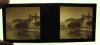 Anonymus Sammlung von 165 stereoskopischen Diapositiven auf Glas mit dem originalen Betrachter.