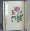 Merian, Maria Sibylla, Erucarum ortus, alimentum et paradoxa metamorphosis. In qua origo, pablum, transformatio, nec con tempus, locus et proprietates erucarum, vermium, papilionum, phalaenarum, muscarum, aiorumque hujusmodi exsanguium animalculorum exhibentur…