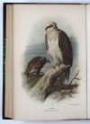 Lilford, T.L.P., Coloured Figures of the Birds of the British Islands.