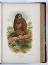 Lilford, T.L.P., Coloured Figures of the Birds of the British Islands.