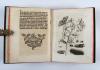 Merian, Maria Sibylla, Der Raupen wunderbare Verwandelung, und sonderbare Blumennahrung.