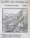 Alciato (Alciatus), Andrea, Emblematum Libellus, vigilanter recognitus et ia(m) recens per Wolphgangum Hungerum Bavarum rhytmis Germanicis versus.
