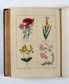 Maund, Benjamin, The Botanic Garden; consisting in highly finished representations of hardy ornamental flowering plants, cultivated in Great Britain… 13 Bde. mit den Supplementen: The Fruitist, The Auctarium (2 in 1 Bd.) und The Floral Register (2 in 1 Bd.), zus. 16 Bde.