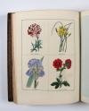 Maund, Benjamin, The Botanic Garden; consisting in highly finished representations of hardy ornamental flowering plants, cultivated in Great Britain… 13 Bde. mit den Supplementen: The Fruitist, The Auctarium (2 in 1 Bd.) und The Floral Register (2 in 1 Bd.), zus. 16 Bde.