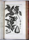 (Buc’hoz, Pierre Joseph), Herbier artificiel, représentant plus de quinze cents plantes, tant européennes qu’exotiques, en douce cents planches, gravée en taille-douce.