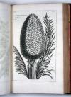 (Buc’hoz, Pierre Joseph), Herbier artificiel, représentant plus de quinze cents plantes, tant européennes qu’exotiques, en douce cents planches, gravée en taille-douce.
