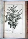 (Buc’hoz, Pierre Joseph), Herbier artificiel, représentant plus de quinze cents plantes, tant européennes qu’exotiques, en douce cents planches, gravée en taille-douce.
