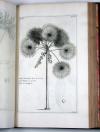 (Buc’hoz, Pierre Joseph), Herbier artificiel, représentant plus de quinze cents plantes, tant européennes qu’exotiques, en douce cents planches, gravée en taille-douce.