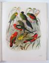 Reichenow, A, Vogelbilder aus fernen Zonen. Papageien. 2., von J. Steinbacher und H. von Boetticher neu bearb. Auflage.